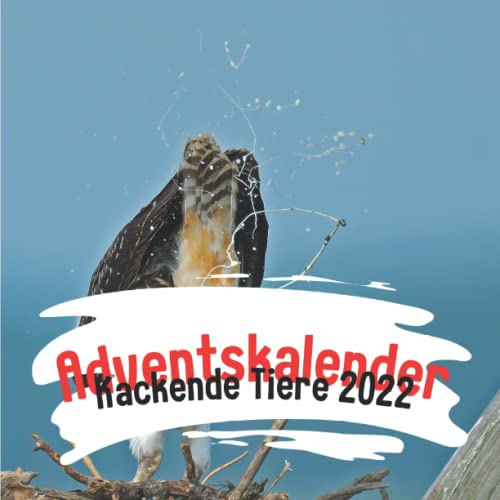 Adventskalender Kackende Tiere 2022: Der lustige Weihnachtskalender für Kreative