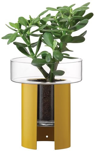 LSA International Terrazza Pot de fleurs 22 cm 19 cm Transparent/jaune moutarde