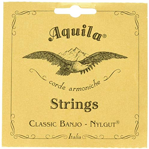 Aquila 1B Banjo 5-String Set Medium, New Nylgut, DBGDG-tuning