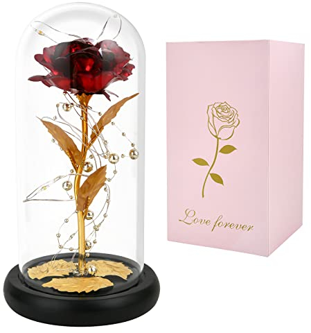 GARELF Geschenke für Frauen,Geburtstagsgeschenke für Sie,Ewige Rose in Glas mit LED-Licht, Rosenblumen Geschenke für Mama/Freundin/Frau/Oma, Geschenke zum Neujahr/Valentinstag/Jubiläum, Rote Rose
