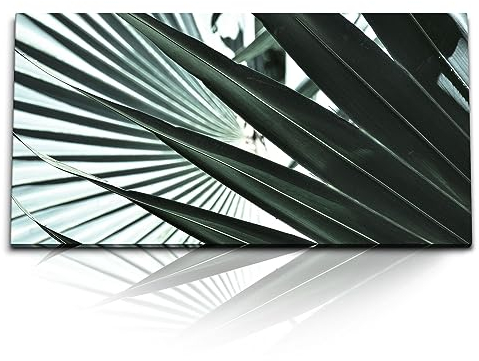 Paul Sinus Kunstdruck Bilder 120x60cm Palmblätter Palme Pflanze Grün Fotokunst