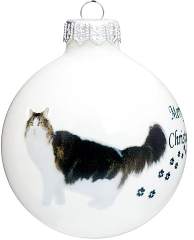 SIKORA Katze Weihnachtskugel aus Glas mit detailreichem Print Motiv besonderer Christbaumschmuck Ornament Figur Katzen Motive, Bedruckte Kugeln:Norwegische Waldkatze Kugel (K022)