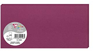 Clairefontaine 1506C Packung mit 25 Karten Pollen in Format DL, 210g 106 x 213mm, Himbeerrosa