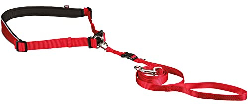 Waist Belt with Lead for Small and Medium-Sized Dogs