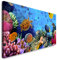 Paul Sinus Art GmbH Korallen Kolonie 120x 50cm Panorama Leinwand Bild XXL Format Wandbilder Wohnzimmer Wohnung Deko Kunstdrucke