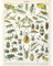 Artery8 Millot Encyclopedia Page Insects Beetles Art Print Canvas Premium Wall Decor Poster Mural Seite Wand Deko