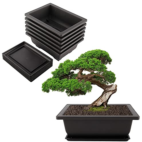 Artilife 6Pcs 6.5Inch Plastic Bonsai Training Pots Humidity Trays Square Nursery Pots for for Plants, Flowers, Herbs, African Violets & Seed Nursery