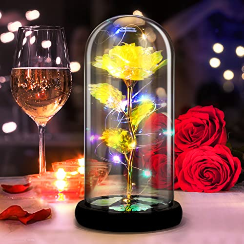 DASIAUTOEM Rose Eternelle, Rose la Belle et la Bete sous Cloche, Fleurs Eternelles Lumières LED Colorées dans Un Dôme en Verre Cadeau pour Femme Amie Maman Grand Mère Fête des Mères Anniversaire