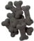 Pointer Charcoal Dog Biscuits 500g-10kg Helps Your Dog With Digestion and Helps Clean Teeth (3kg)