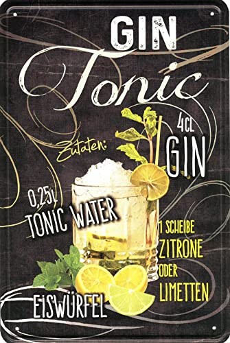 Geschenkeparadies 24 Deko Blechschild 20x30cm Gin Tonic Rezept
