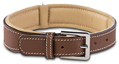 Jack & Russell Hundehalsband Leder Amy - Lederhalsband aus Echtleder - gepolstert & robust - Hunde Halsband doppellagig (XS, Braun/Beige)