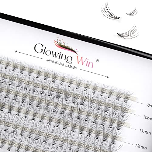 Glowing Win Faux Cils Naturel Extension Cils Individuels 0.07C 10D 8-14mm 120PCS Faux Cils Individuel Bouquet Cluster Lashes DIY Extension de Cils Volume Russe Cils Extension de Cils Professionnel