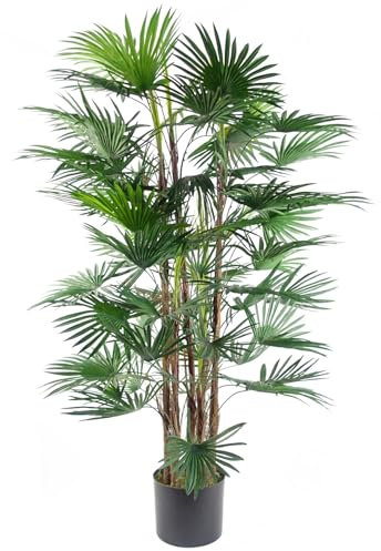 Botanik Realistic Potted Artificial Palm and Tropical Trees - Ready to Display