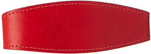 BBD Luxuriöses Hundehalsband für Rennhunde, rot