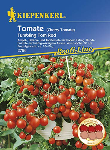 Tomatensamen - Tomate Tom Red von Kiepenkerl