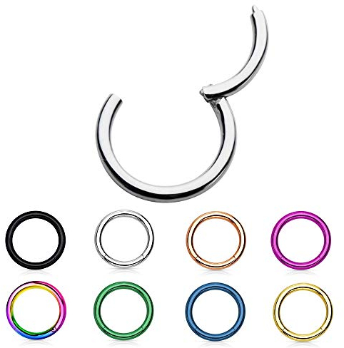 Treuheld® | 1,2mm x 8mm Segment Clicker Piercing Ring | Chirurgenstahl | Bunt/Regenbogen | Lippenpiercing Septum Nasenring Ohr Bauchnabelpiercing