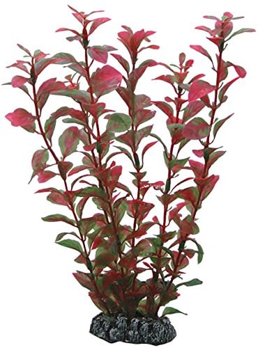 Hobby Ludwigia Plante d'Aquarium Artificielle 25 cm