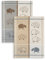 2-er Set, Jacquard Geschirrtuch, KRACHT, Halbleinen, Schafe, beige/grau, Format 50x70cm