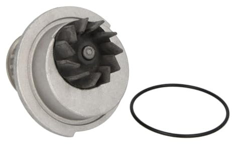 Hepu P791 Wasserpumpe