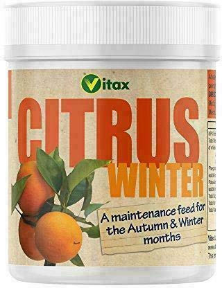 Vitax Citrus Winter Feed (200g) X 4