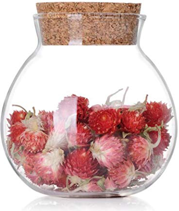 QUUPY Lot de 1 distributeur de bouteilles en verre transparent vide hermétique avec couvercle en liège pour biscuits, café (500 ml/17 oz)