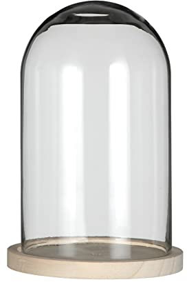 Glockenglas Glaskuppel Glashaube Glas Glocke Glass Dome mit Boden, Ø 14 cm, Höhe: 21 cm mit Holzbasis, Glasdurchmesser: Ø 11,5 cm - Glashöhe: 20 cm