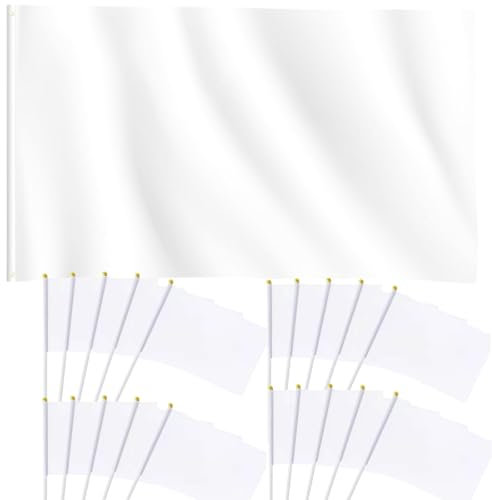 Blank White Flags DIY 5ft x 3ft and 20pcs Party Handheld Flags on Plastic Stick 8.2 x 5.5 Inch White Plain Banners Pennant Decoration for Game School Sport Events, Festival Birthday Party Supplies