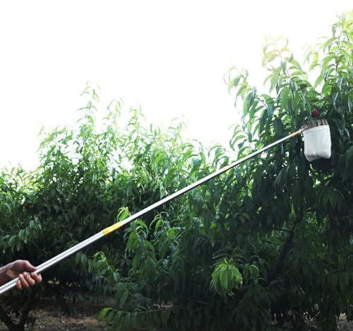 recoge frutas telescopico Recolector De Frutas/herramienta De Recolección Con Poste Extensible, Resistente Palo Recolector De Frutas De Acero Inoxidable Para Frutas De Gran Tamaño, Limón, Pera, Mango,