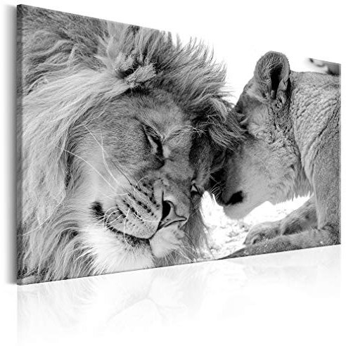 decomonkey Bilder Wandbilder Löwe Afrika Löwenpaar 120x80 cm 1 Teilig Leinwandbilder Bild auf Leinwand Wandbild Wand Wohnzimmer Wanddekoration Deko Tiere Wildlife Natur Savanne