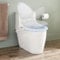 Apriltop Intelligenter Toilettendeckel mit LED Anzeige und LED Nachtlicht, Toilettendeckel V Form mit Fernbedienung, 50.8x45.72x11.94Cm, IPX4, Weiß