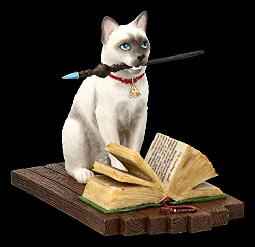 Lisa Parker Katzen Fantasy-Figur - Hocus Pocus, Motiv Zauber-Katze, Hexen-Katze, Tier-Figur, Deko-Artikel, Deko-Figur, Skulptur, Statue, H 13,5 cm