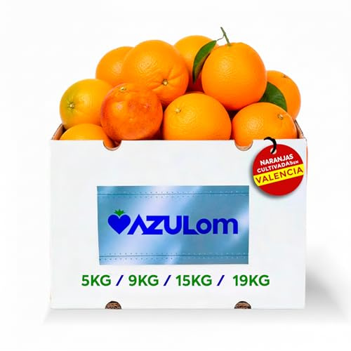 Naranjas de Valéncia directas del árbol recién recolectadas - del árbol a tu mesa sin tratamientos post cosecha - cajas de 5, 9, 15 y 19kg - fruta natural valenciana - naranja de mesa (19KG)