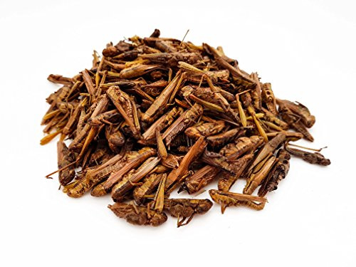 HERONS - Dried Grasshoppers - 5 cm - For Turtles, Birds, Reptiles, Mammals & Large Carnivorous Fish - 58% protein content - Ballast Substances & Chitin - Regulates Digestion - 200 Grams
