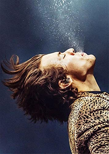 DIY 5D Diamant Malerei Kits Vollbohrer Harry Styles Diamond Painting Erwachsene Kinder Kristall Strass Leinwand Stickerei Kreuzstich Malerei Arts Craft Geschenk für Home Eingang Wand Decor30x40cm