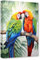 CCWACPP Papagei-Leinwand-Kunst, Vögel, Bilder, Wanddekoration, bunter Papagei auf Zweig, Druck, Gemälde Dekor, Rahmen (Papagei - 1, 40.00 x 60.00 cms)
