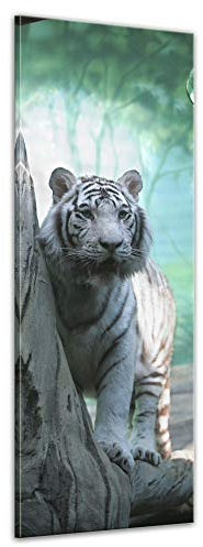 Wandbild - Indischer weisser Tiger 30x90 cm einteilig Hochformat - Leinwandbild Bild auf Leinwand - schwarz weisser Bengal Tiger