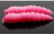 Libra Lures Kukolka Käse 2.7cm 017-bubble Gum - Fischangelköder - 15 Stück