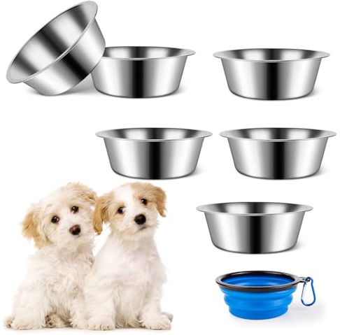 Lot de 6 gamelles en acier inoxydable pour chien, gamelles d'eau en métal, 17,5 cm, gamelles de base pour nourriture pour animaux de compagnie de petite, moyenne et grande taille, 850,5 g, bol de