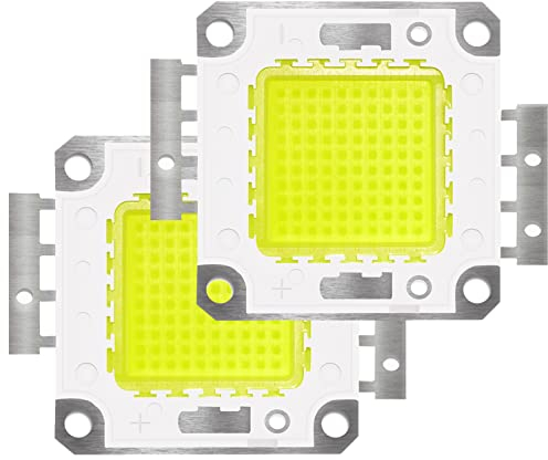 Tesfish 2PCS 100W LED Chip Weiß 6000-6500K COB Glühbirne für Flutlicht, Deckenleuchte, Hohe Energieeinsparung Lampe