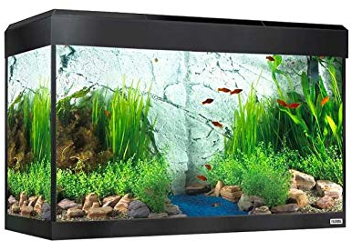 Fluval Roma Aquarium-Set mit LED-Beleuchtung, Bluetooth, 125 l, Schwarz