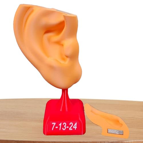 Ohr-Skulptur, 3D-gedrucktes Ohr-Sammelstück, Kunsthandwerk, Gedenkstatue, abnehmbarer Magnet, Ohrdekoration für Schreibtisch, , Vitrine