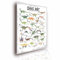 Lineo® Dinosaurier ABC Lernposter für Kinder; Dino Poster XXL Kinderzimmer Dekoration & Alphabet lernen; Tier-Poster Wandbild Deko Kunstdruck für Kinder 42 x 62 cm (Dino ABC - Aquarell)