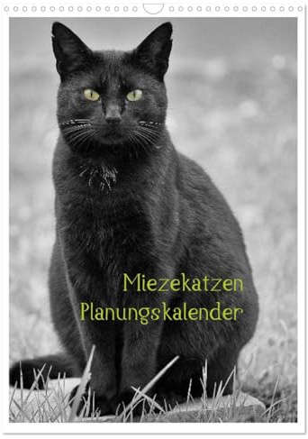 Miezekatzen Planungskalender (Wandkalender 2026 DIN A3 hoch), CALVENDO Monatskalender: liebenwerte Hauskatzen als Fotomodels (CALVENDO Tiere)