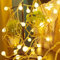 Lecone 3m 20 LED Globe Lichterkette, Warmweiß Innen Deko, Batterie und USB, Indoor und Outdoor, LED, Balkon, Terrasse, Garten, Partys, Weihnachten, Hochzeit