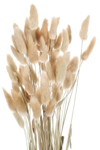 QUARKZMAN Hasenschwanzgras Getrocknet - Primärfarbe, 60 Stück Getrocknete Blumen, 60cm Pampasgras Natürlicher für Florale Hochzeitsdekoration Weihnachten