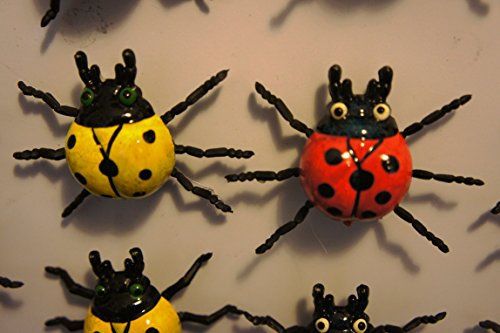 Lady Bird Fridge Magnet