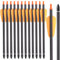 WANVZME 12 Stück 7,5 Carbon Armbrust Bolzen Pfeile für Mini Armbrust Jagd und Zielpraxis,15 Armbrustbolzen Armbrustpfeile mit 2 Flügel schraubel Ersatz Pfeilspitze Spitze (15zoll, Orange)