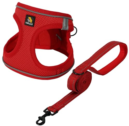 BELLA & PAL Hundegeschirr Kleine Hunde mit Leine, Step-in Geschirr aus Air Mesh, Anti Zug Reflektierend Atmungsaktiv Brustgeschirr, Welpengeschirr für Kleine Hunde, Katzengeschirr, Rot, M