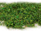 YiQinzcxg Mehrzweck Miniaturblatt Modell Railway Garden Landschaft Set Accessoire Für Realistische Landschaften Und Dioramen Dekoration