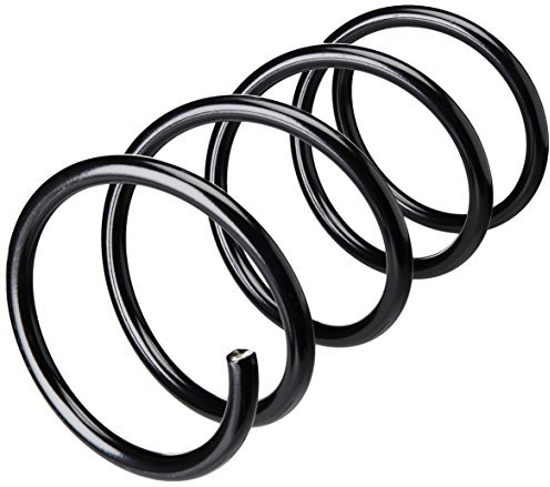 lesjofers 4044226 Coil Spring Front